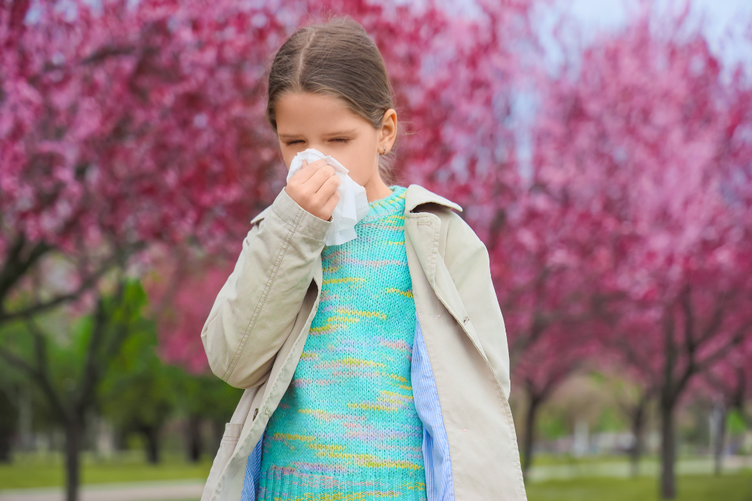 Une nouvelle voie d’activation impliquée dans l’asthme allergique lié aux acariens