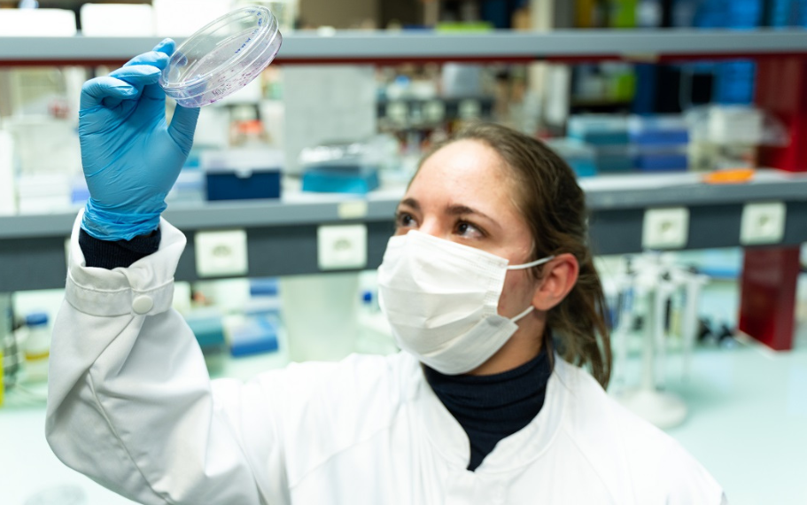 Cancers : du diagnostic moléculaire à la thérapie ciblée