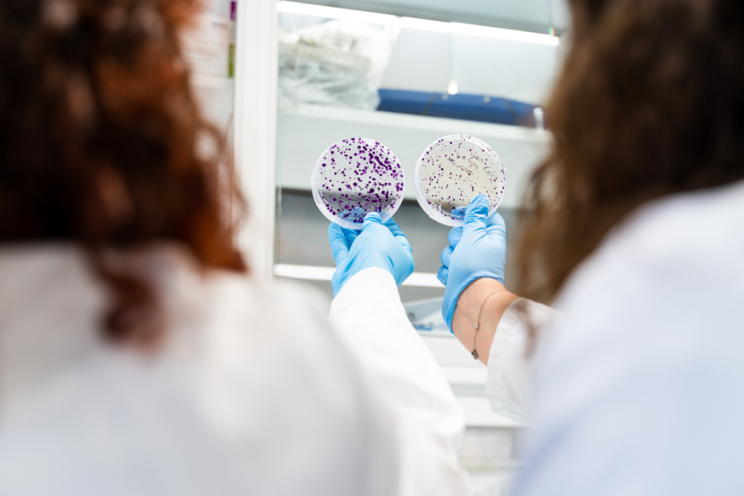 Nouvelles mutations du récepteur MET