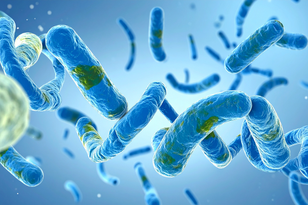 Nouvelle approche moléculaire pour le diagnostic et la surveillance de la lèpre