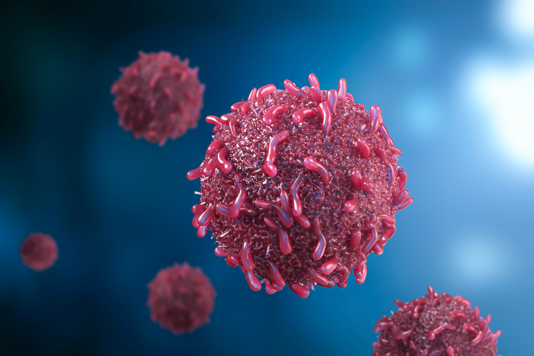 Découverte d’inhibiteurs sélectifs de la protéine ERAP2, une enzyme dont la dérégulation peut entrainer des cancers ou des maladies auto-immunes