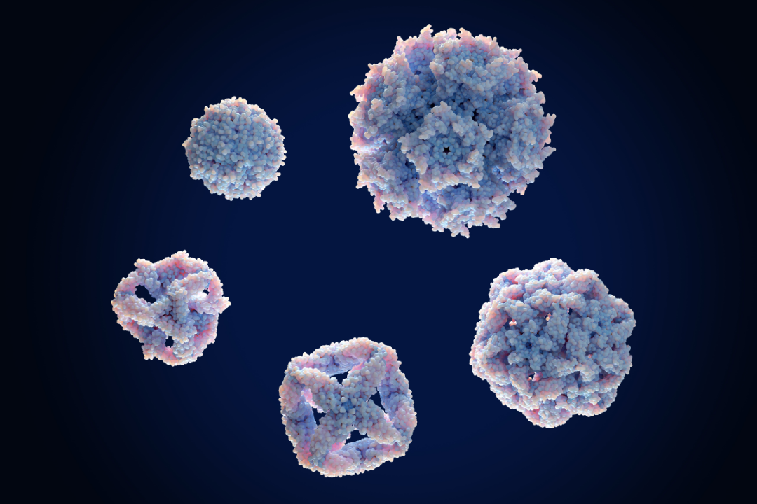 Mise au point d’une méthode permettant d’optimiser la production des protéines à usage thérapeutique ou diagnostique