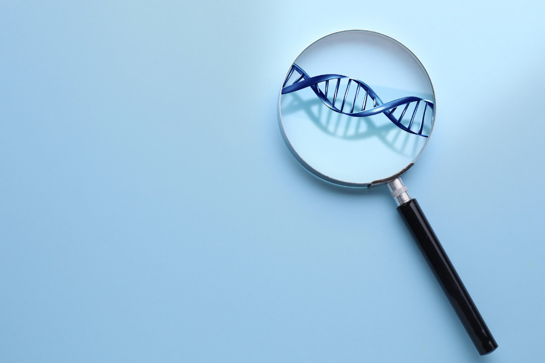 Des chercheurs lillois ont identifié une nouvelle molécule contre certaines formes de maladie génétique