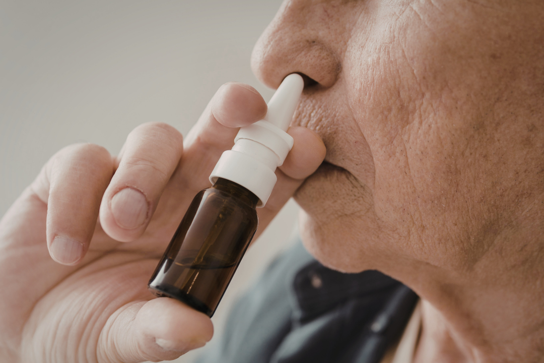Nouvelle phase d'essai clinique pour le vaccin nasal contre la coqueluche