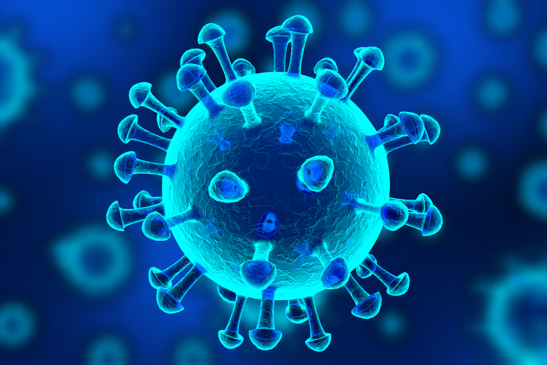 Identification d’une nouvelle cible contre les coronavirus