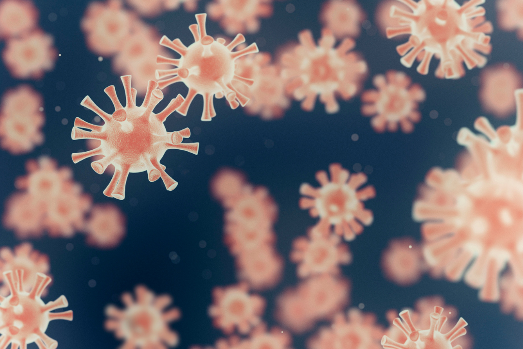 Des recherches sur la moelle osseuse à l’Institut Pasteur Lille ouvrent de nouvelles pistes sur le VIH