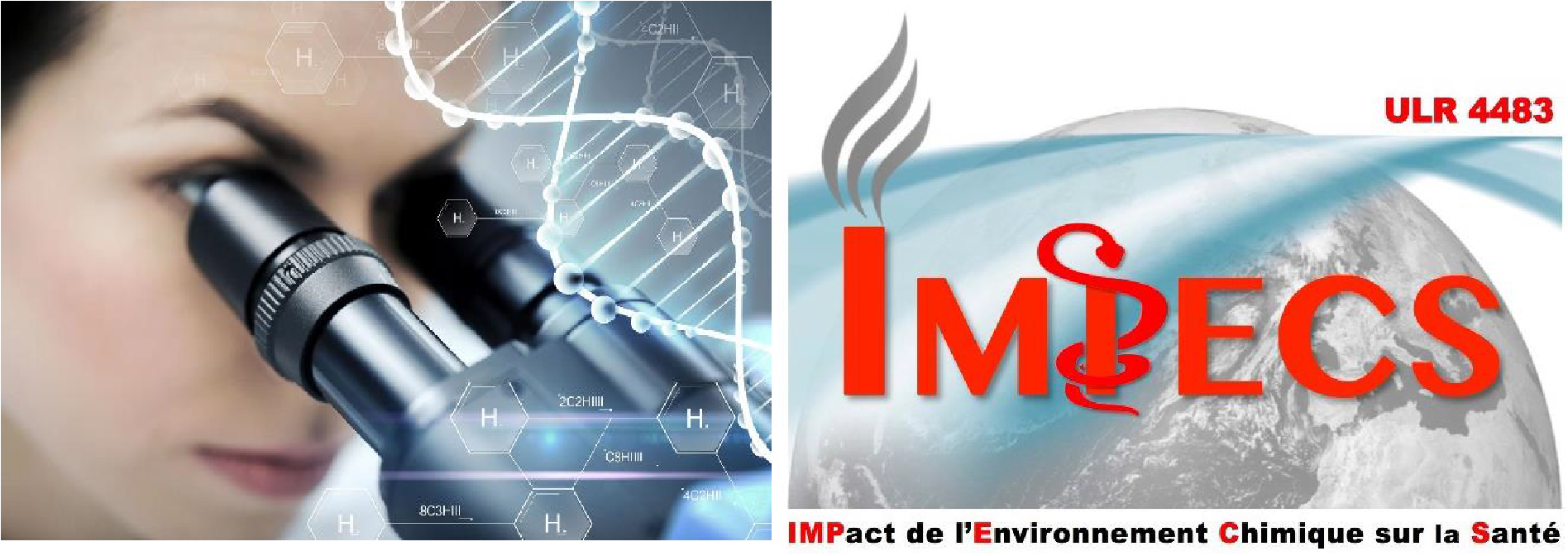 Bandeau page toxico Laboratoire de toxicologie génétique