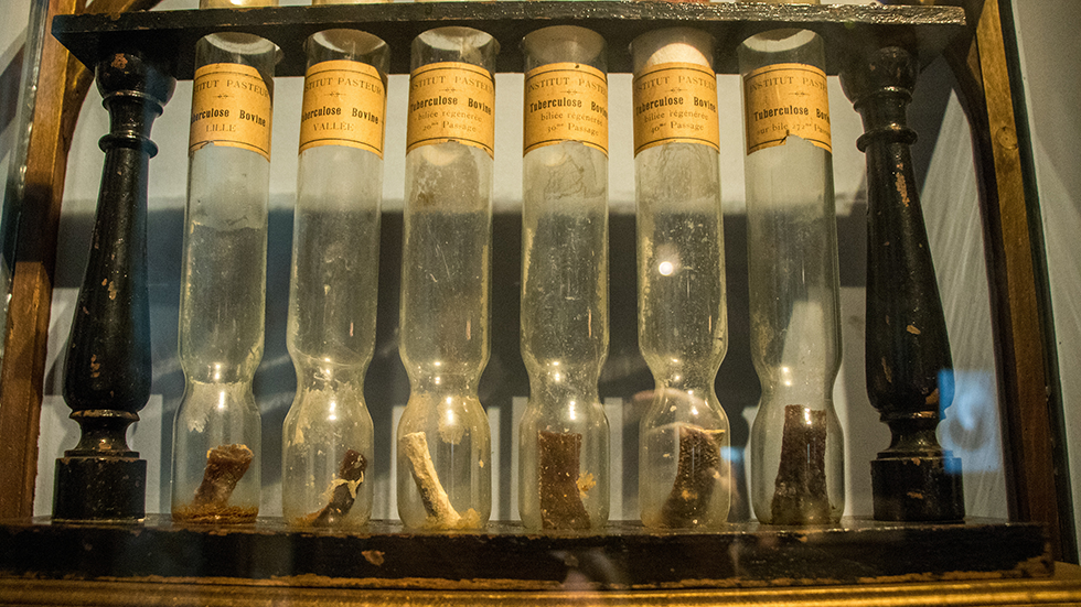 Souche-tuberculose Musée 2