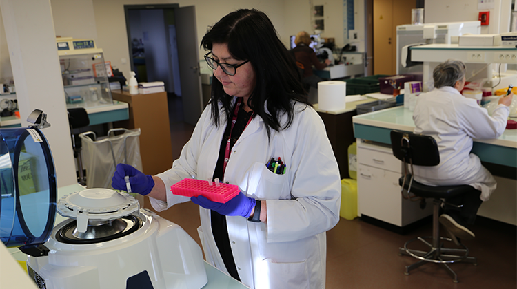 Maladies respiratoires - BPCO Laboratoire de recherche de l’Institut Pasteur de Lille, spécialisé dans les maladies respiratoires comme la BPCO