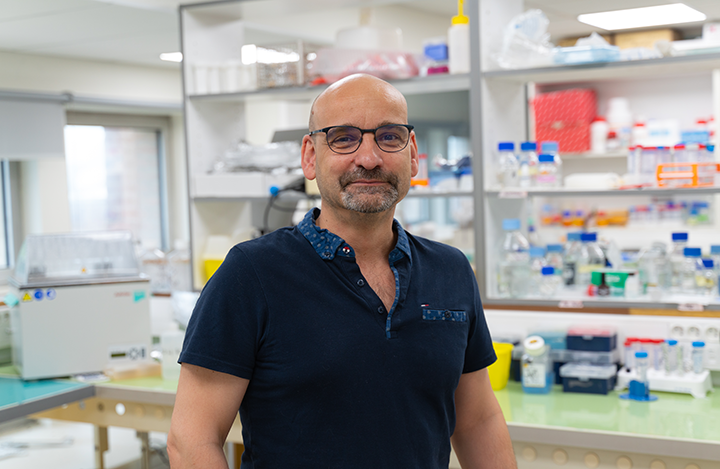 Dr.-Jean-Charles-Lambert Dr Jean-Charles Lambert, Directeur de recherche INSERM