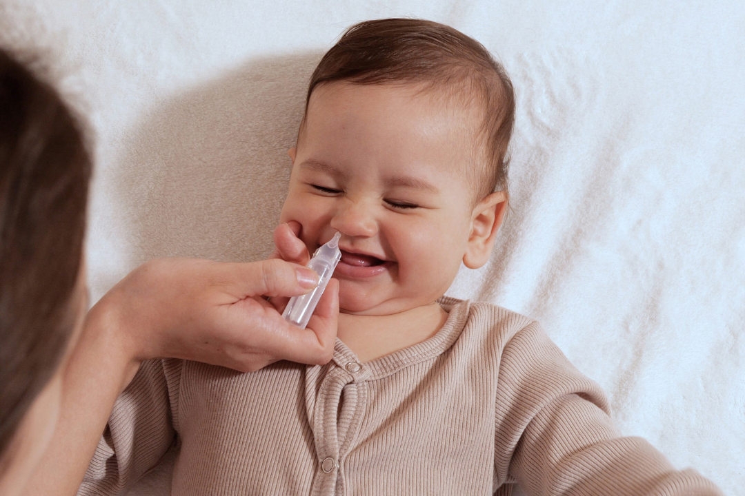 Le vaccin nasal BPZE1 contre la coqueluche, en cours de développement clinique, a franchi une nouvelle étape