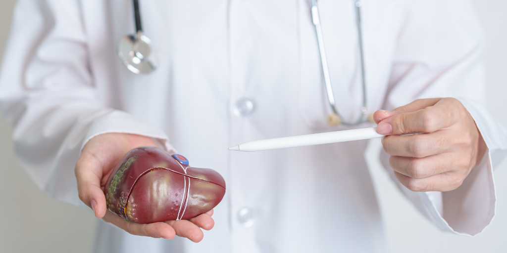 Hépatite C Médecin qui tient un foie dans sa main droite et qui le pointe avec un stylo pour expliquer l'hépatite C