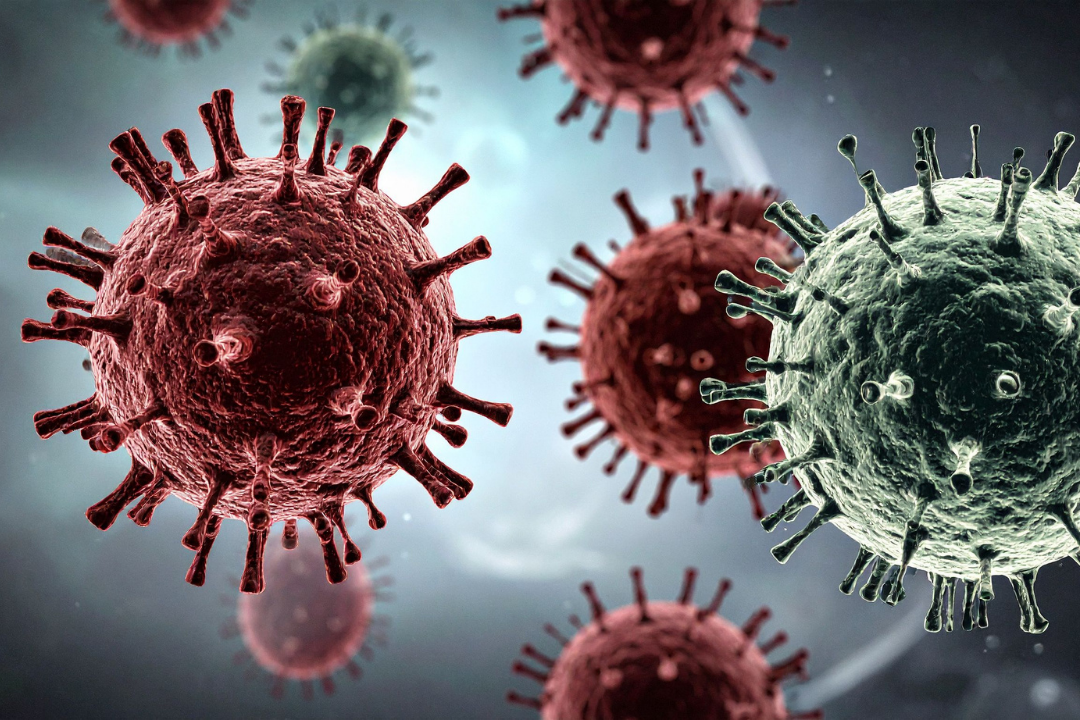 Des chercheurs de l'Institut Pasteur de Lille impliqués dans la découverte d’un médicament contre les coronavirus