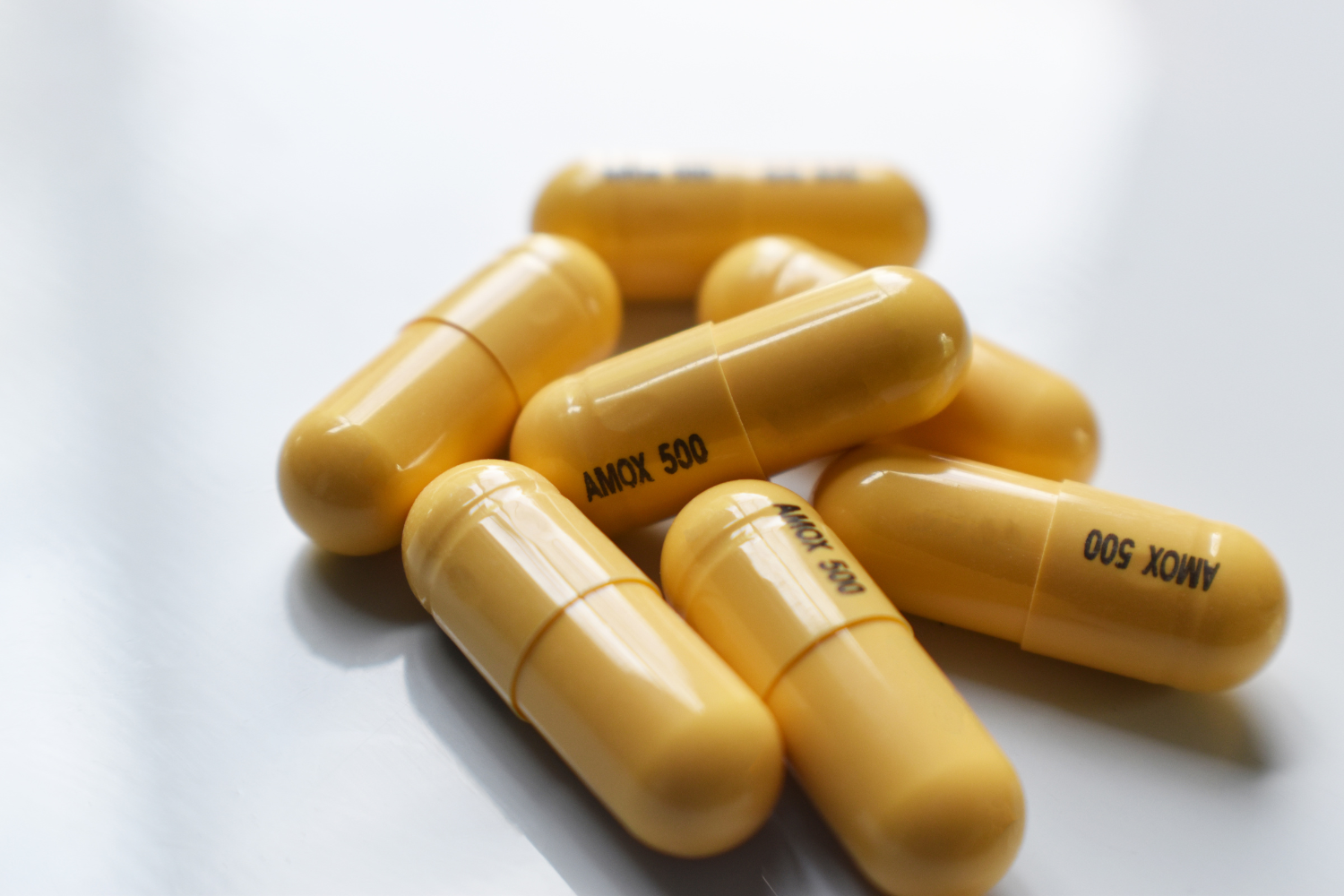 Traitement amoxicilline contre la piqûre de tique Traitement amoxicilline contre la piqûre de tique