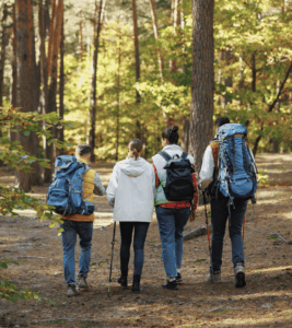 Balade foret - Prévention maladie de Lyme