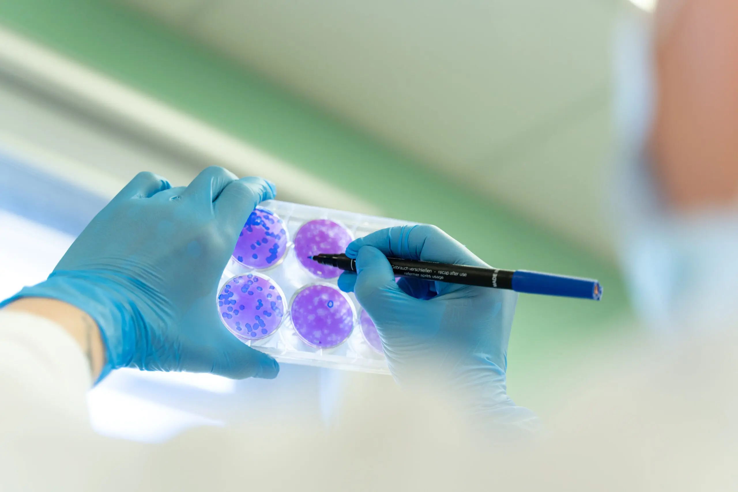 Manipulation en laboratoire pour évaluer les risques microbiologiques environnementaux