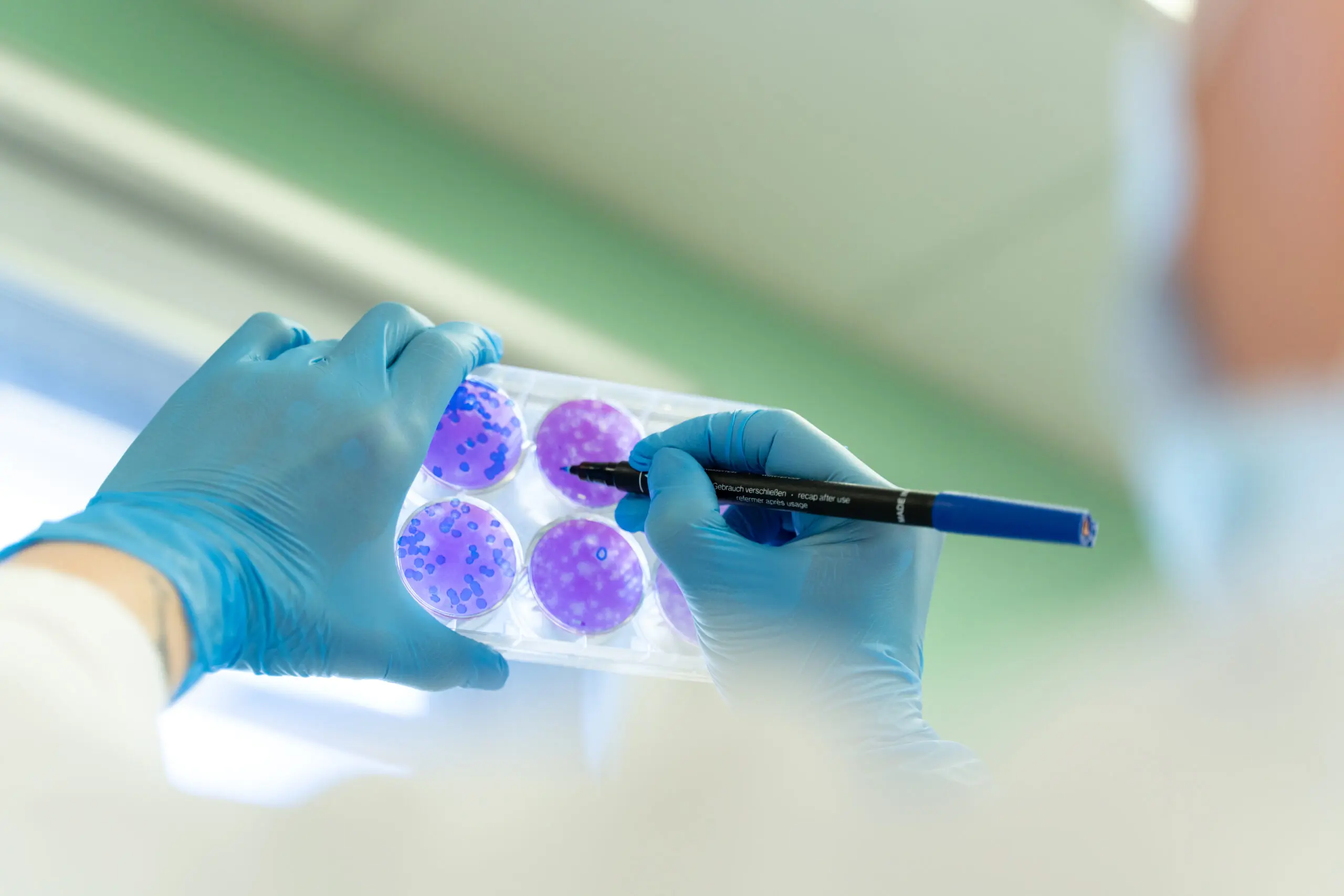Manipulation en laboratoire pour évaluer les risques microbiologiques environnementaux Manipulation en laboratoire pour évaluer les risques microbiologiques environnementaux