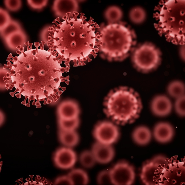 Le VIH-1 réprime l’expression de la protéine IFITM3, ce qui facilite l’infection des mégacaryocytes