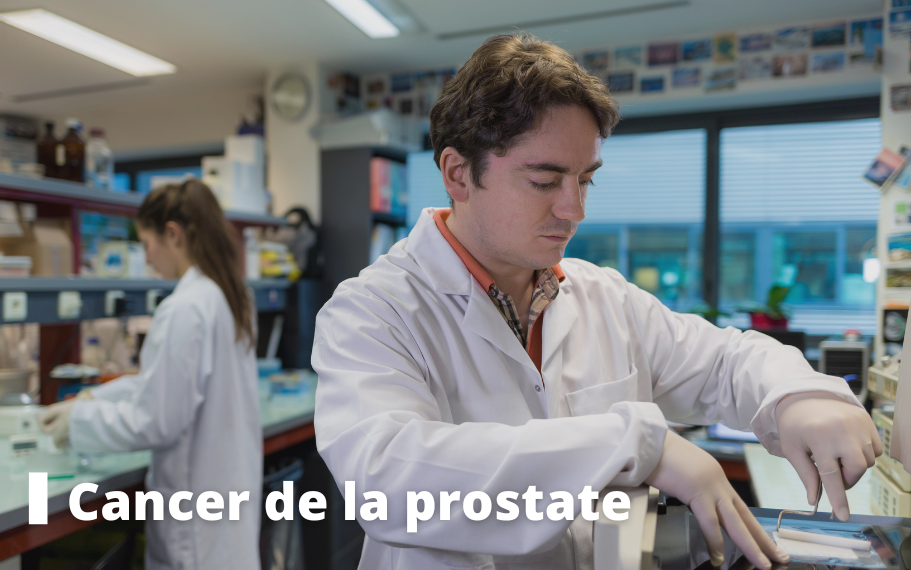 Dossier Cancer de la prostate
