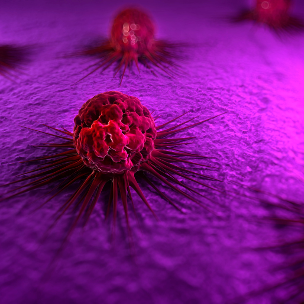 Une nouvelle approche pour « révéler » les cellules cancéreuses au système immunitaire