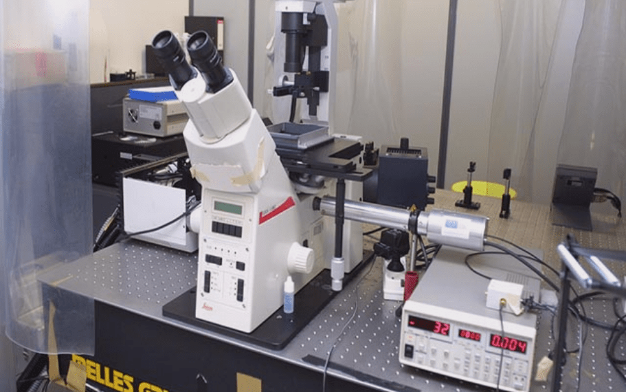 BICeL : BioImaging Center Lille, plateforme d’imagerie cellulaire et cytométrie