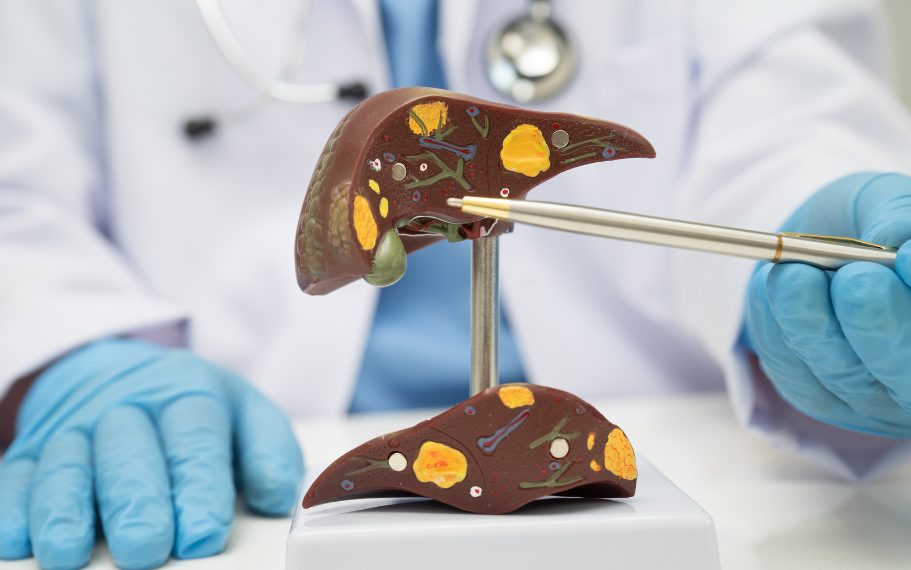 Foie et cœur : les liaisons dangereuses