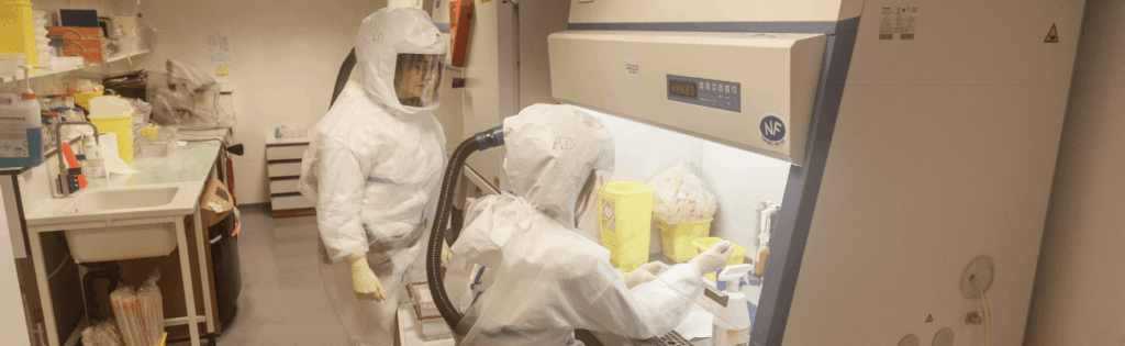 recherche de traitement contre le coronavirus SARS-CoV-2 par criblage de molécules