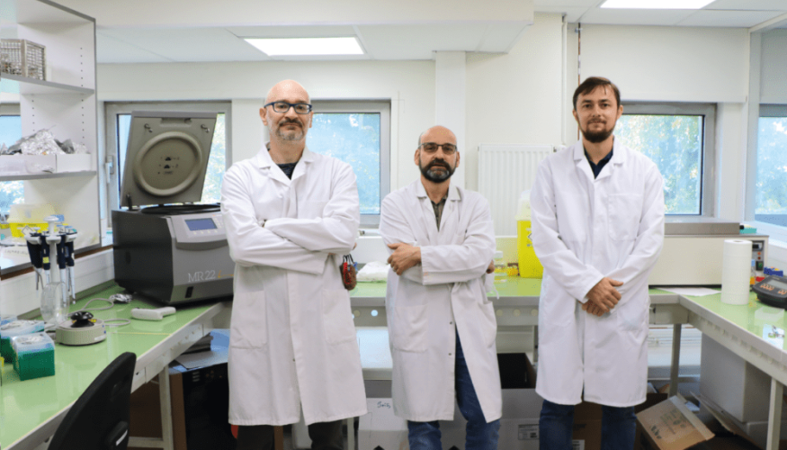 recherche sur la maladie d’Alzheimer