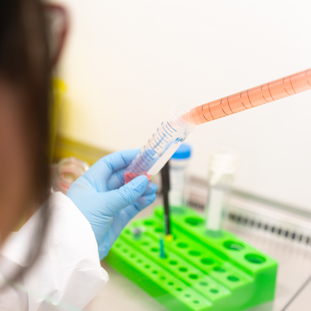 Maladie d’Alzheimer : Des projets nouveaux à l’étude