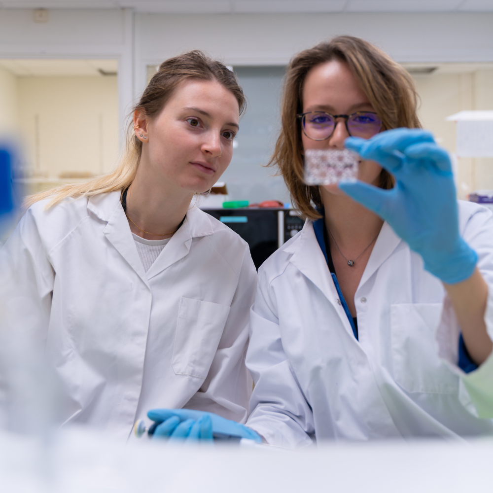 Maladie d’Alzheimer : un nouveau pas dans la connaissance de la génétique de la maladie.