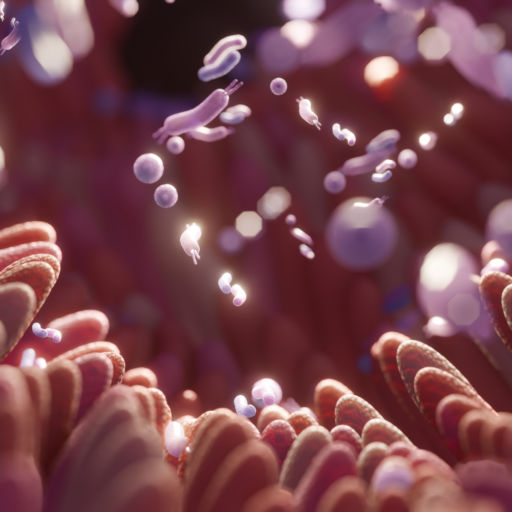 Identification de marqueurs prédictifs de maladies métaboliques et cardiovasculaires