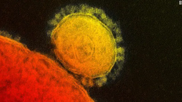 Coronavirus SARS-CoV-2
