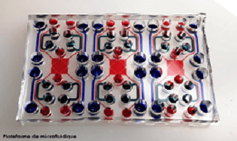 Recherche sur la maladie d’Alzheimer : utilisation de la microfluidique pour l’étude des neurones