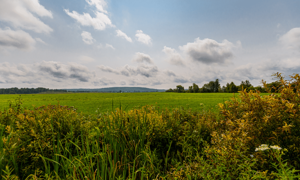 L’air est-il vraiment meilleur à la campagne ?
