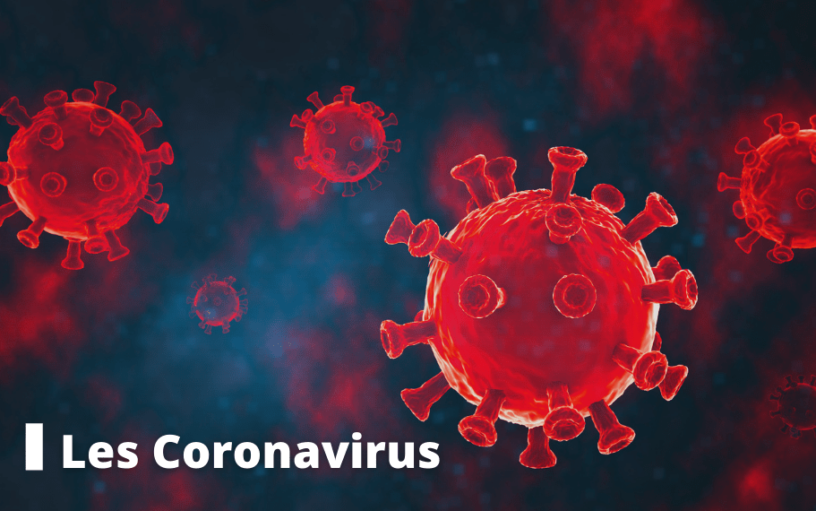 les coronavirus