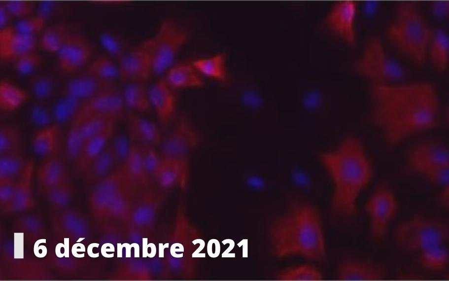 Pasteur 2022