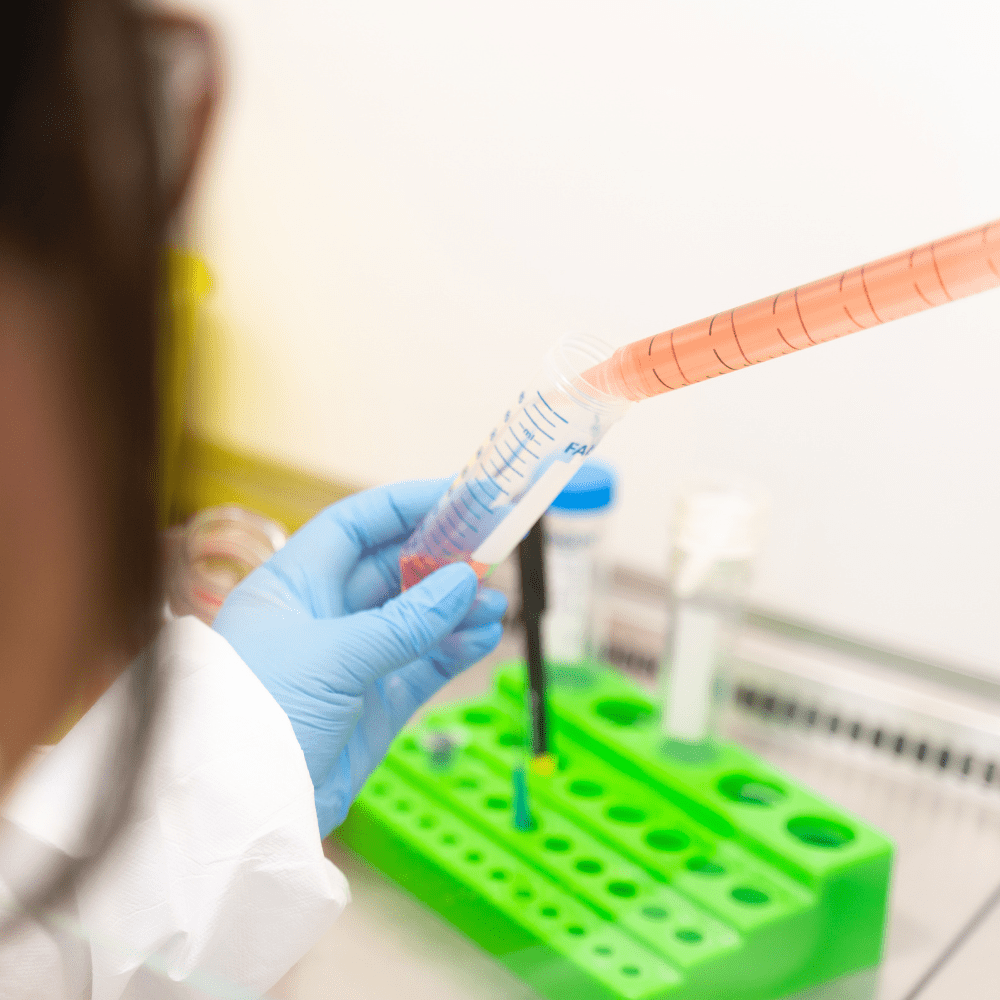 Recherche sur la maladie d’Alzheimer : nouveaux projets à l'étude