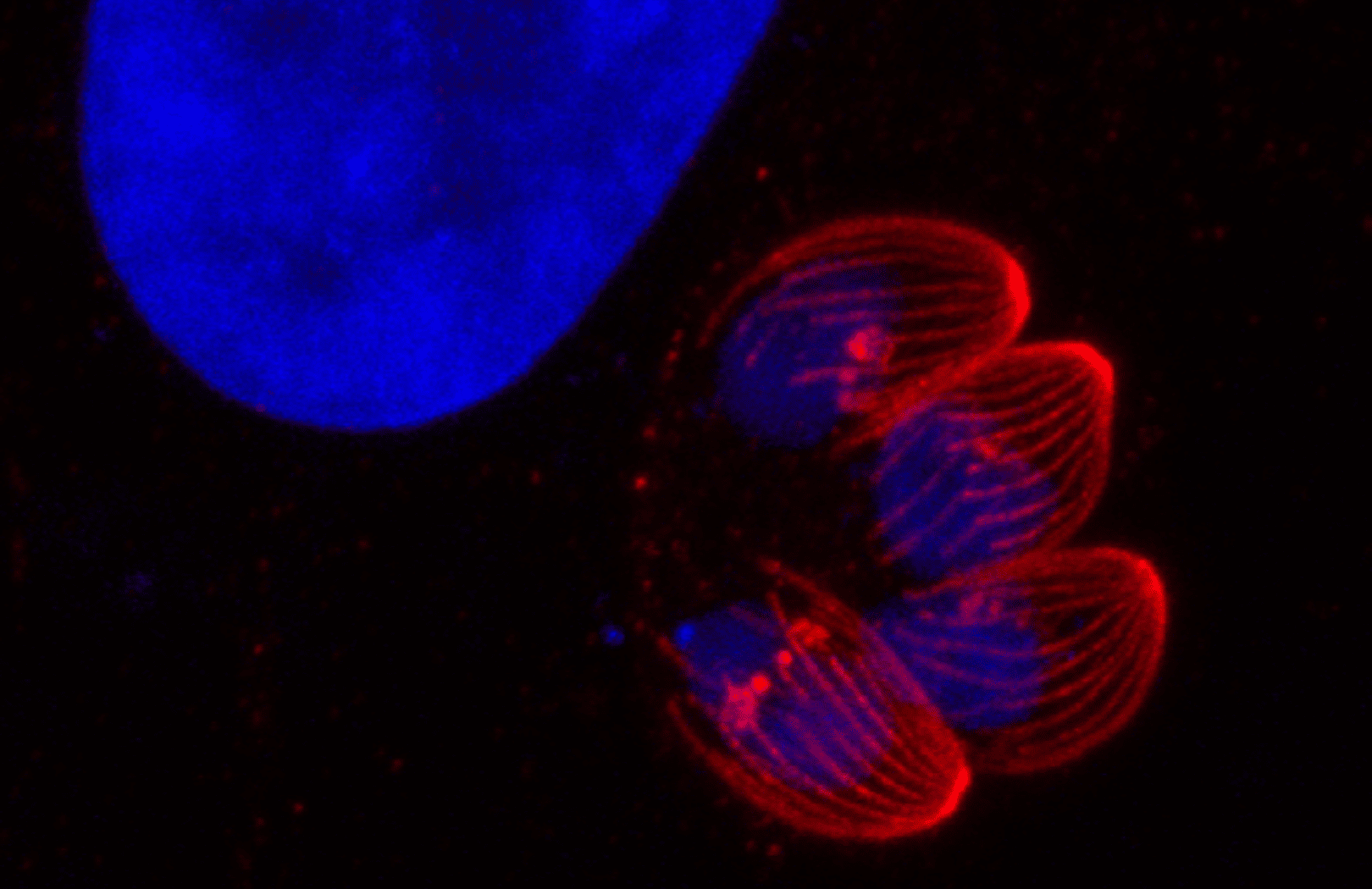 Sur le terrain de la recherche avec... Venkat Mudiyam